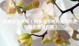鳄鱼皮手机壳（鳄鱼皮手机壳是棕色还是黑色最好看呢）