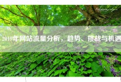 2019年网站流量分析，趋势、挑战与机遇