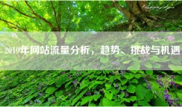 2019年网站流量分析，趋势、挑战与机遇