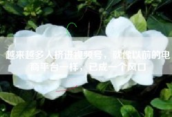 越来越多人挤进视频号，就像以前的电商平台一样，已成一个风口