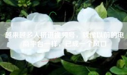 越来越多人挤进视频号，就像以前的电商平台一样，已成一个风口