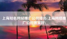 上海知名网站推广公司排名(上海网络推广公司哪家好)