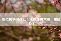 虚拟机快照建立【让操作更大胆，更随心】