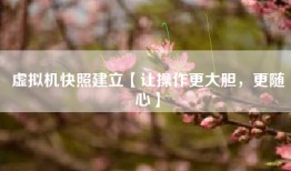 虚拟机快照建立【让操作更大胆，更随心】