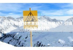 磁力宝最新技术革新与应用展望，引领行业发展趋势