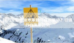 磁力宝最新技术革新与应用展望，引领行业发展趋势