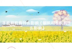 手机刷机有什么影响（刷机对手机有什么影响）