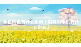 手机刷机有什么影响（刷机对手机有什么影响）