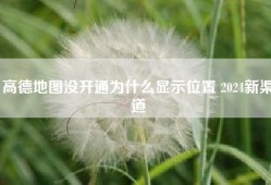高德地图没开通为什么显示位置 2024新渠道
