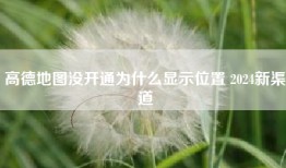 高德地图没开通为什么显示位置 2024新渠道