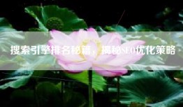 搜索引擎排名秘籍，揭秘SEO优化策略