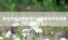 移动手机话费能买什么（移动手机话费可以购买什么）
