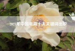 2021年中国电商十大关键词出炉