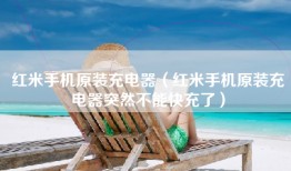 红米手机原装充电器（红米手机原装充电器突然不能快充了）
