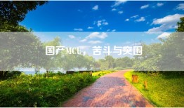 国产MCU，苦斗与突围
