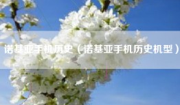 诺基亚手机历史（诺基亚手机历史机型）