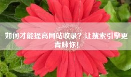 如何才能提高网站收录？让搜索引擎更青睐你！
