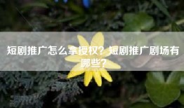 短剧推广怎么拿授权？短剧推广剧场有哪些？