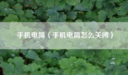 手机电简（手机电简怎么关闭）