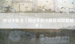 西安手机卡（西安手机卡能在咸阳复制不）