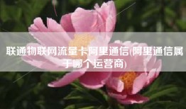 联通物联网流量卡阿里通信(阿里通信属于哪个运营商)