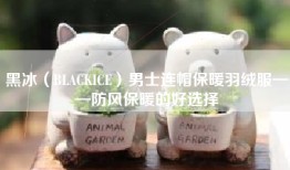 黑冰（BLACKICE）男士连帽保暖羽绒服——防风保暖的好选择