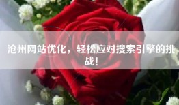 沧州网站优化，轻松应对搜索引擎的挑战！