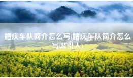 婚庆车队简介怎么写(婚庆车队简介怎么写吸引人)