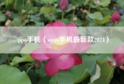 ppo手机（oppo手机最新款2024）