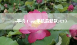 ppo手机（oppo手机最新款2024）