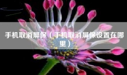 手机取消屏保（手机取消屏保设置在哪里）