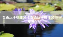 爸爸玩手机作文（爸爸玩手机作文300字左右）