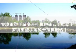 梦境重塑手游多开挂机搬砖云手机助手「梦境重塑手游多开挂机搬砖」