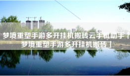 梦境重塑手游多开挂机搬砖云手机助手「梦境重塑手游多开挂机搬砖」
