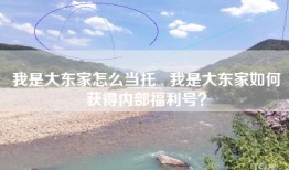 我是大东家怎么当托   我是大东家如何获得内部福利号？