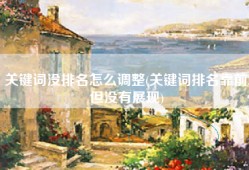 关键词没排名怎么调整(关键词排名靠前,但没有展现)