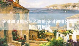 关键词没排名怎么调整(关键词排名靠前,但没有展现)