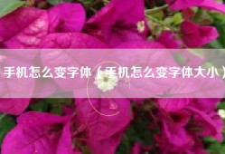 手机怎么变字体（手机怎么变字体大小）