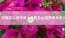 手机怎么变字体（手机怎么变字体大小）