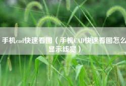 手机cad快速看图（手机CAD快速看图怎么显示线宽）
