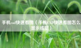 手机cad快速看图（手机CAD快速看图怎么显示线宽）