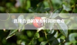 选择合适的发布时间和地点