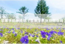苹果手机保质期（苹果手机保质期查询）