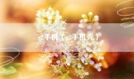 g2手机（g2手机壳）