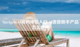 SiteAgent.AI官网体验入口 AI语音助手产品怎么使用