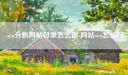 seo分析网站目录怎么做-网站seo怎么写