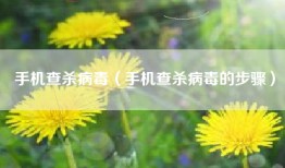 手机查杀病毒（手机查杀病毒的步骤）