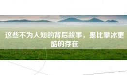 这些不为人知的背后故事，是比攀冰更酷的存在