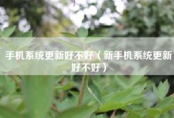 手机系统更新好不好（新手机系统更新好不好）