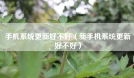 手机系统更新好不好（新手机系统更新好不好）